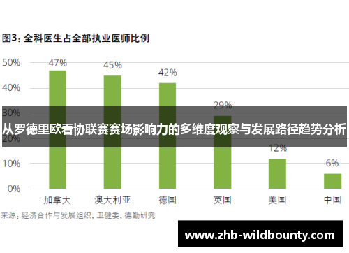从罗德里欧看协联赛赛场影响力的多维度观察与发展路径趋势分析